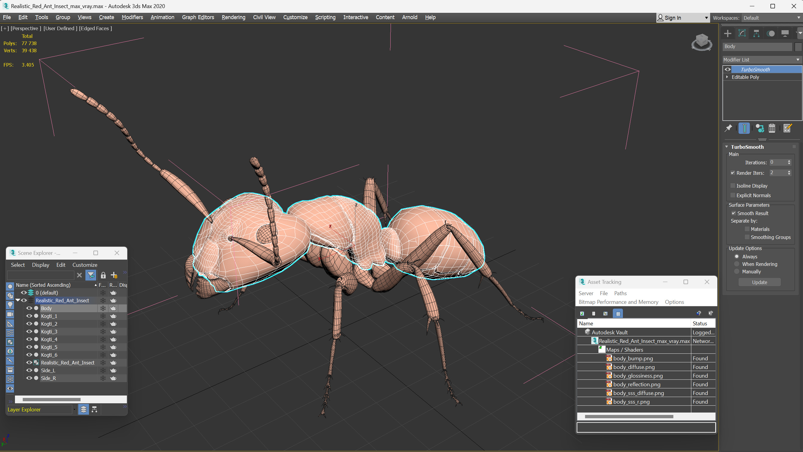 Realistic Red Ant Insect 3D model