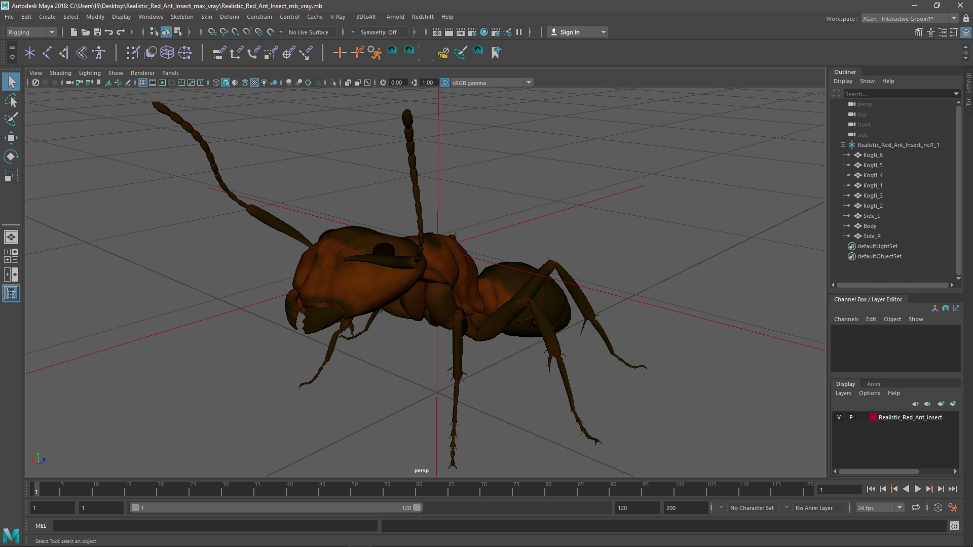 Realistic Red Ant Insect 3D model