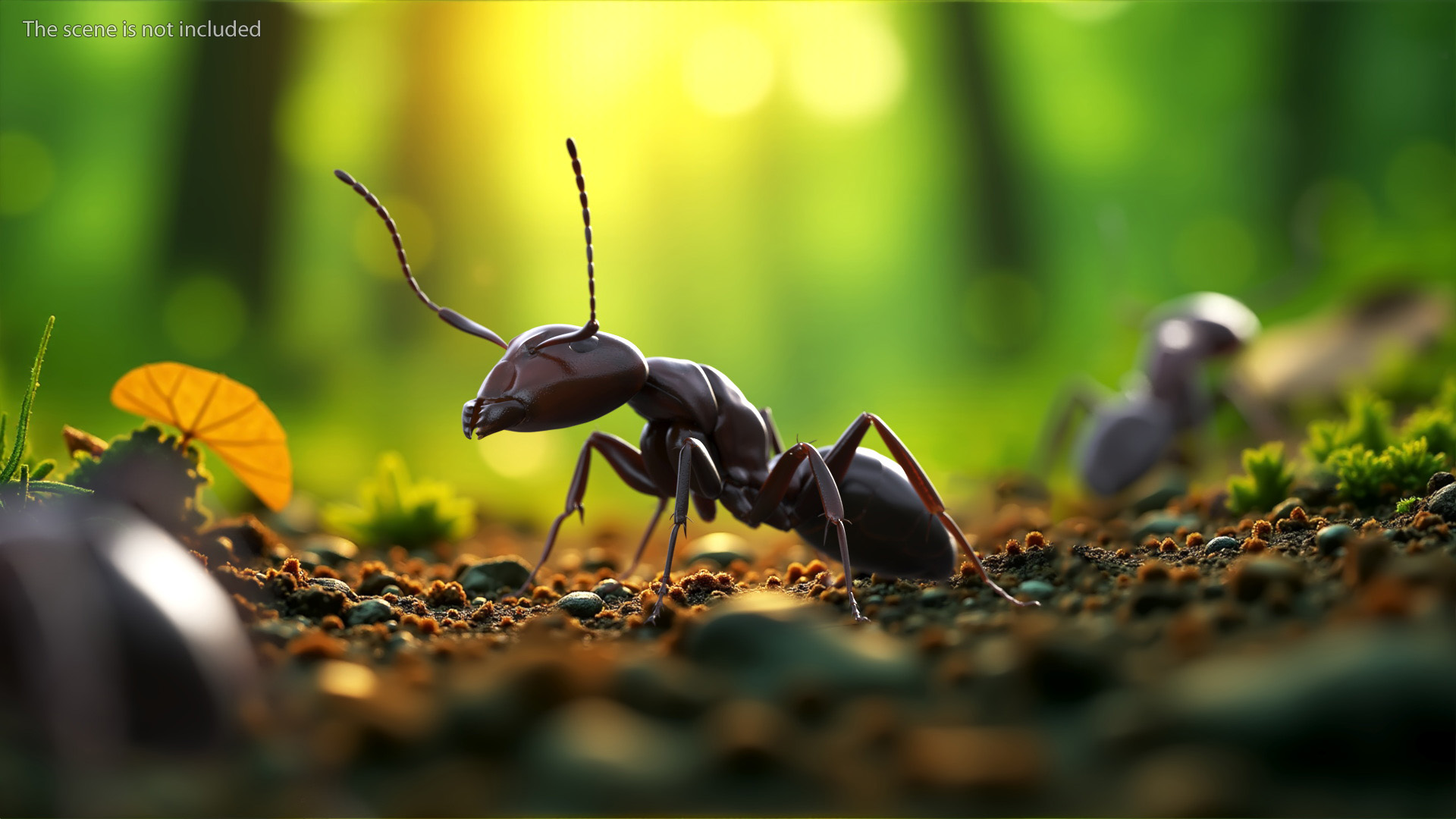 Realistic Red Ant Insect 3D model