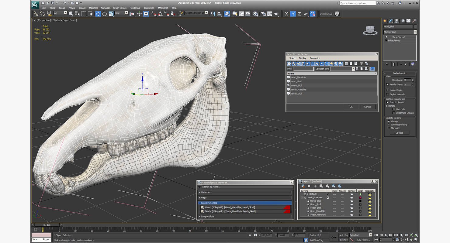 3D Horse Skull