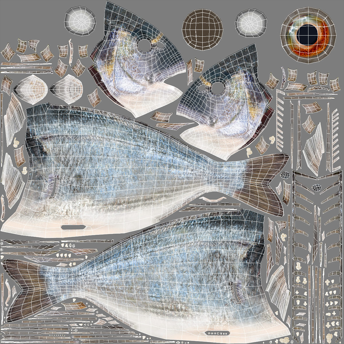 3D Caught Gilt Head Bream Fish Lying model