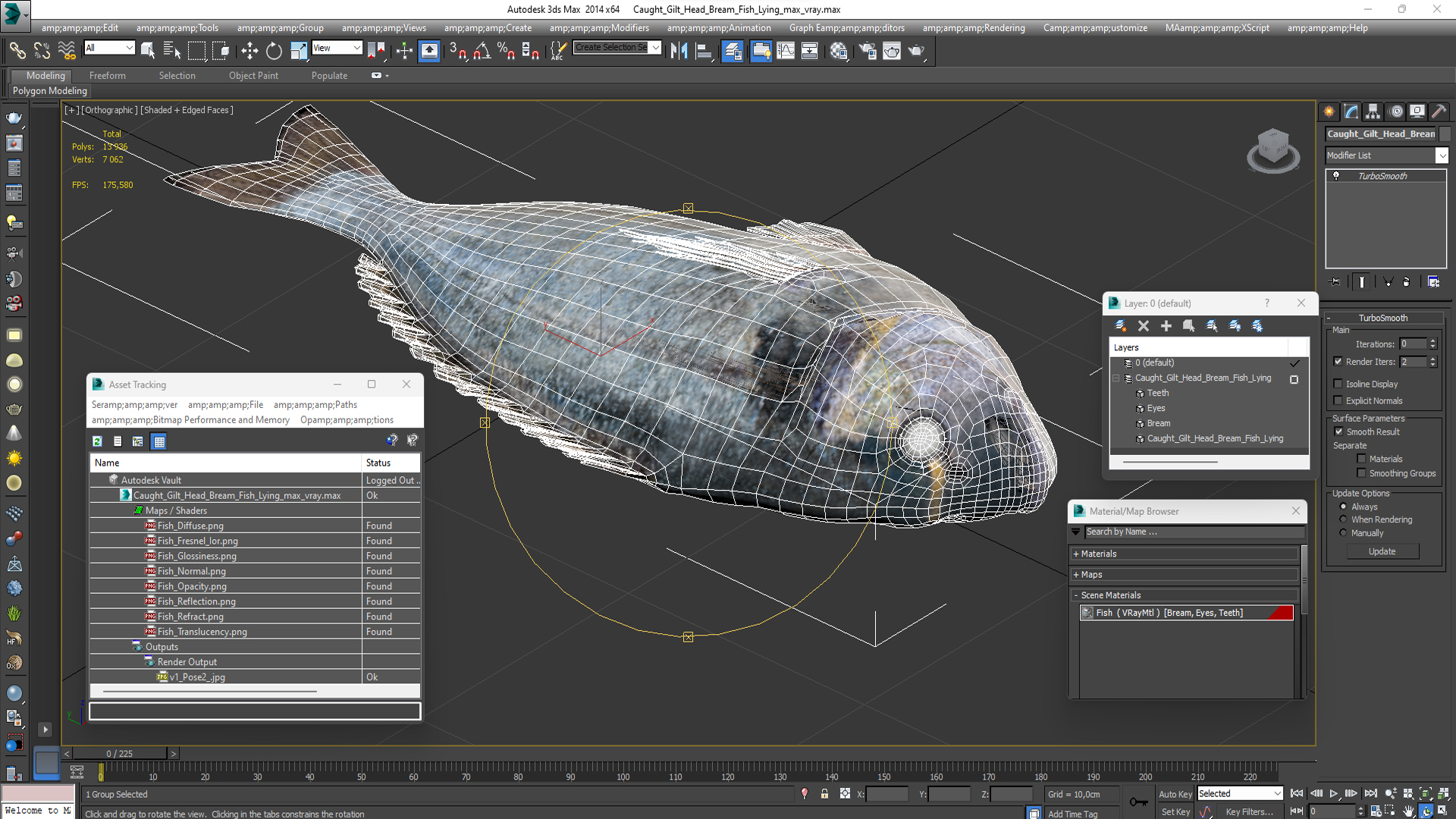 3D Caught Gilt Head Bream Fish Lying model