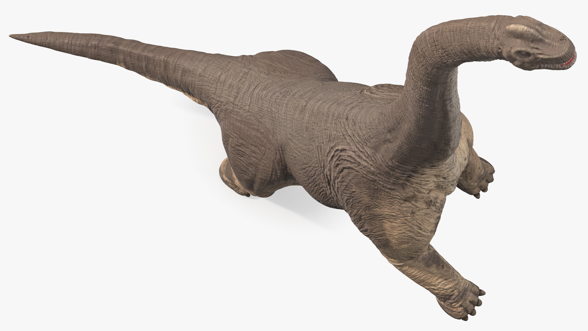 Brachiosaurus Altithorax 3D model