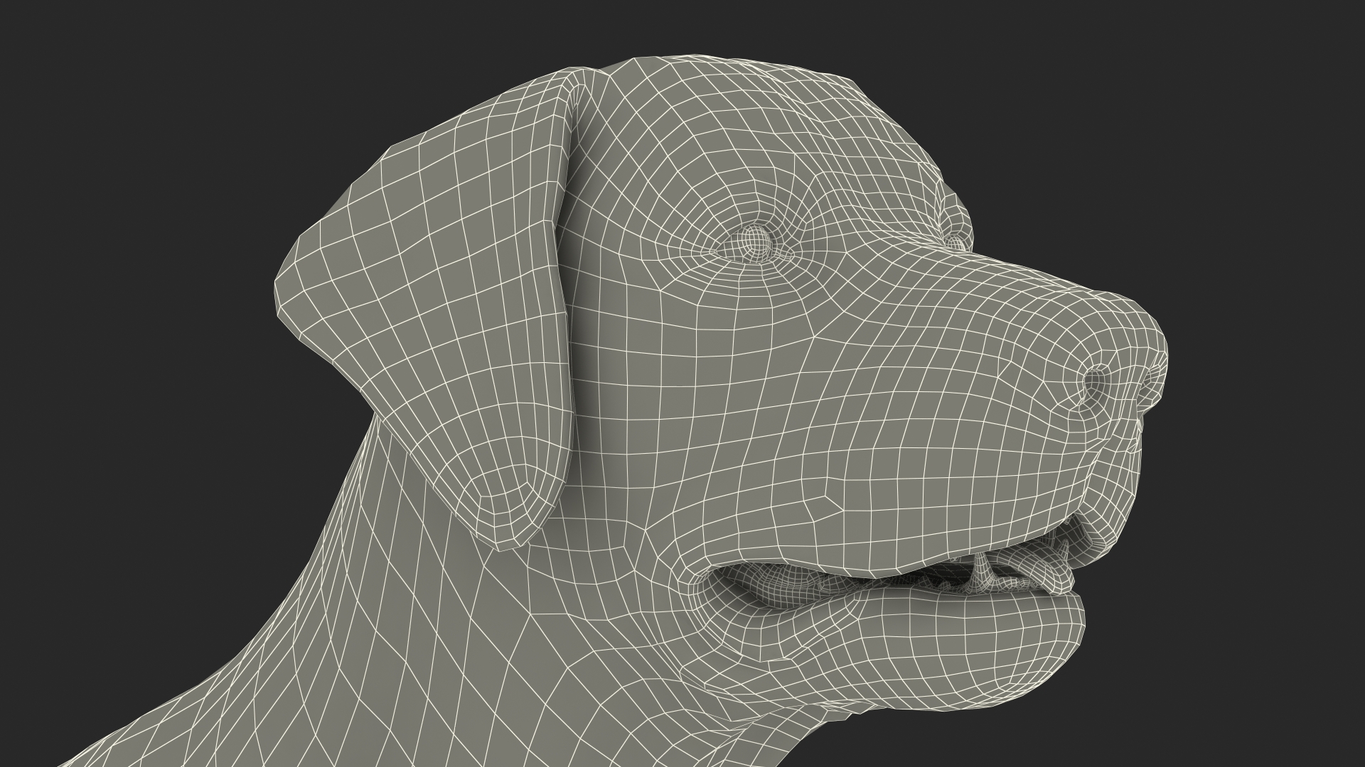 Labrador Dog Brown Rigged Fur 3D model