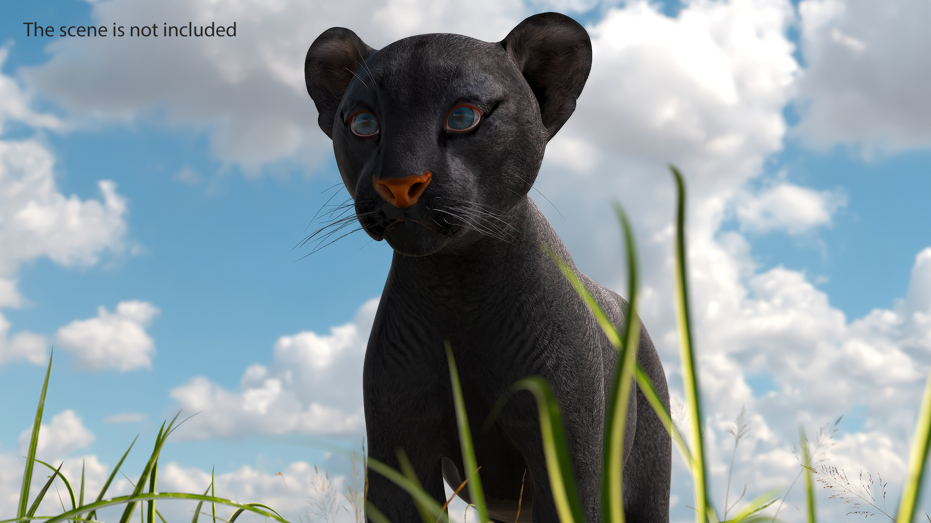 3D Black Panther Cub Standing Pose