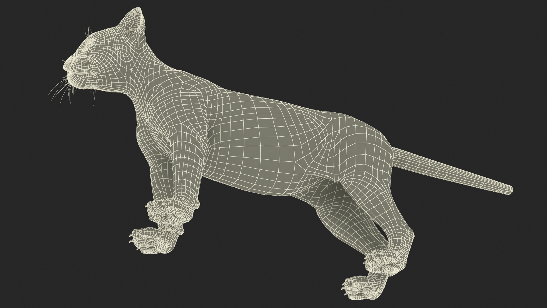 3D Black Panther Cub Standing Pose