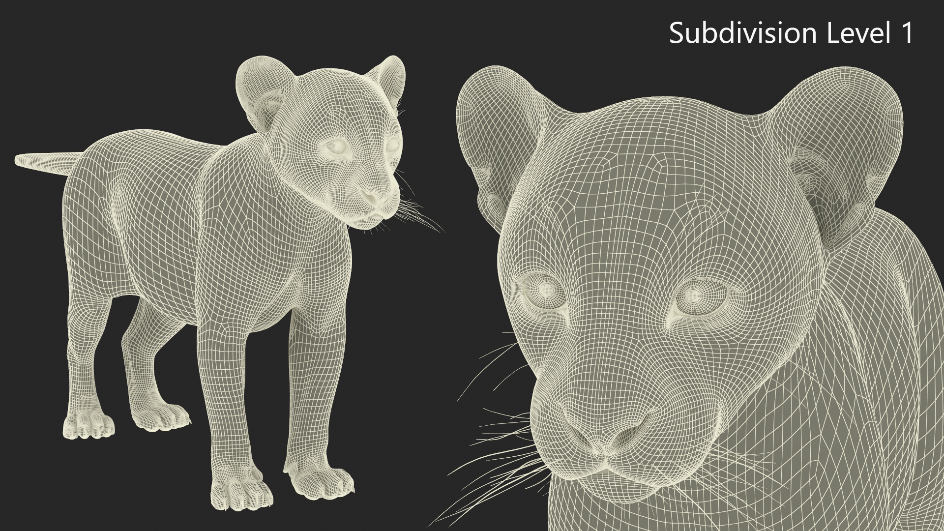 3D Black Panther Cub Standing Pose