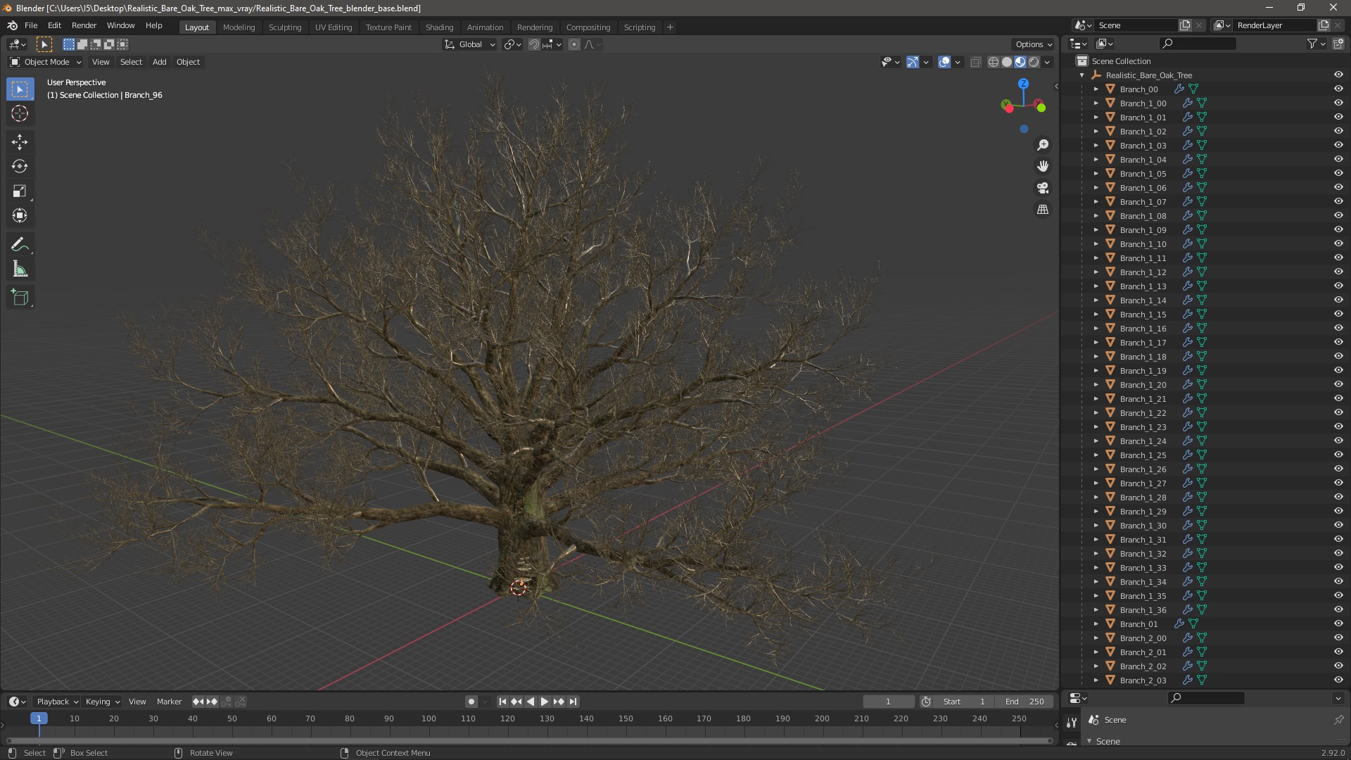 3D Realistic Bare Oak Tree model