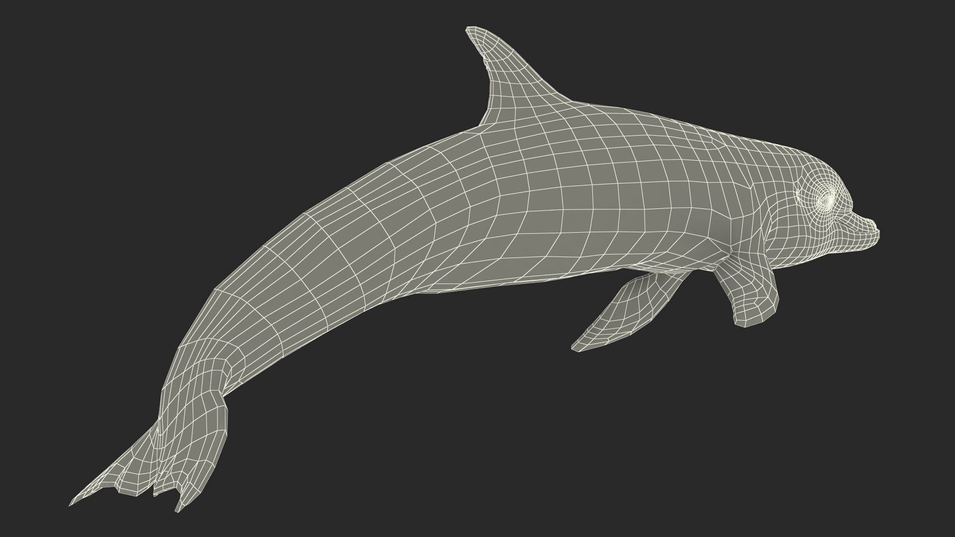 3D Dolphin Swimming And Jumping Animated for Maya