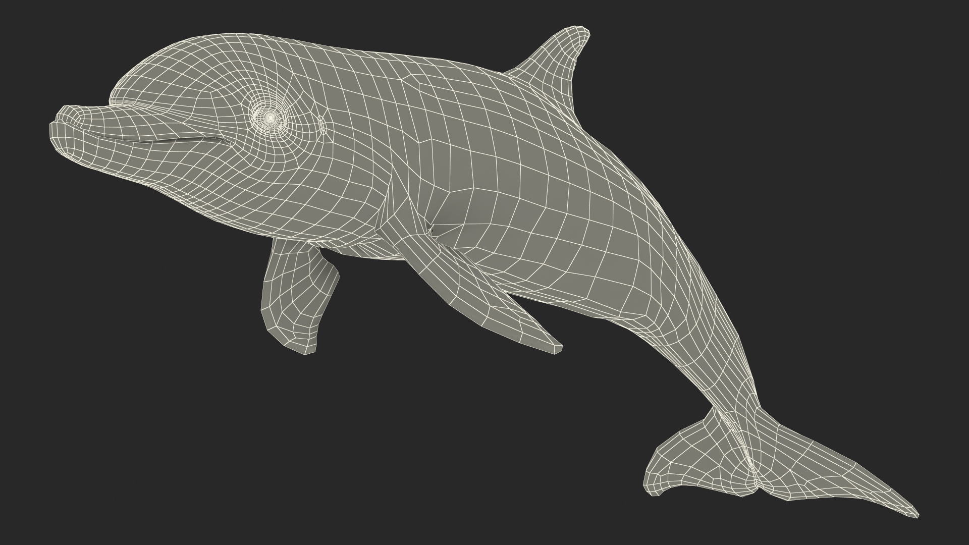 3D Dolphin Swimming And Jumping Animated for Maya