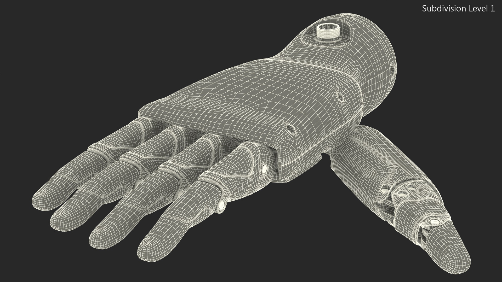 3D Dexterous Robotic Hand Right model