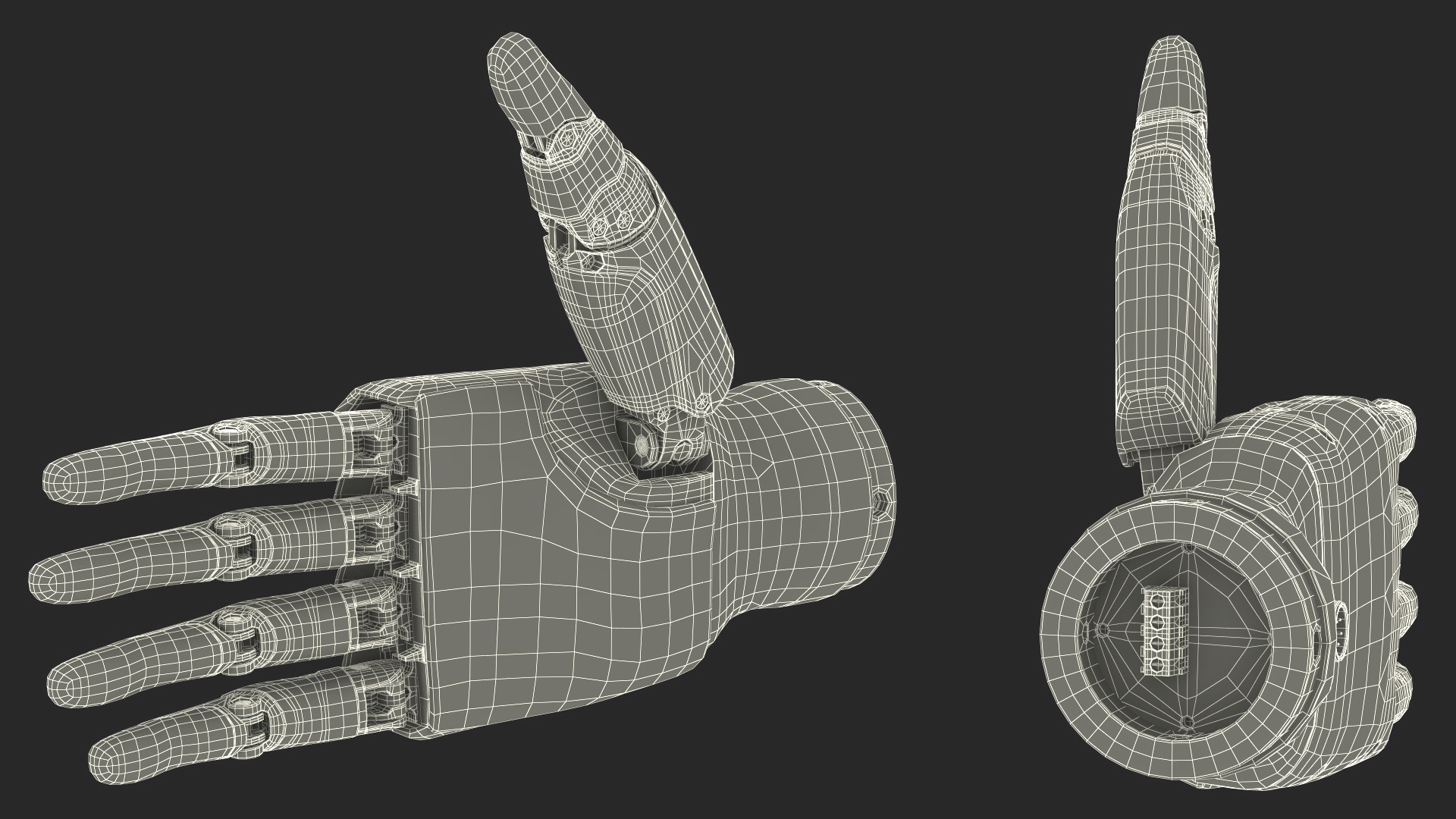 3D Dexterous Robotic Hand Right model