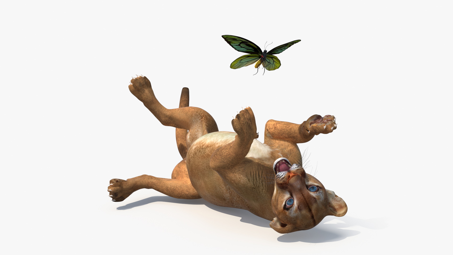 3D Playful Puma Cub with Butterfly