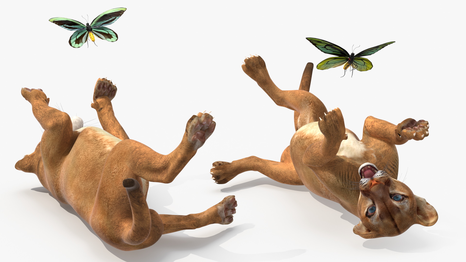 3D Playful Puma Cub with Butterfly