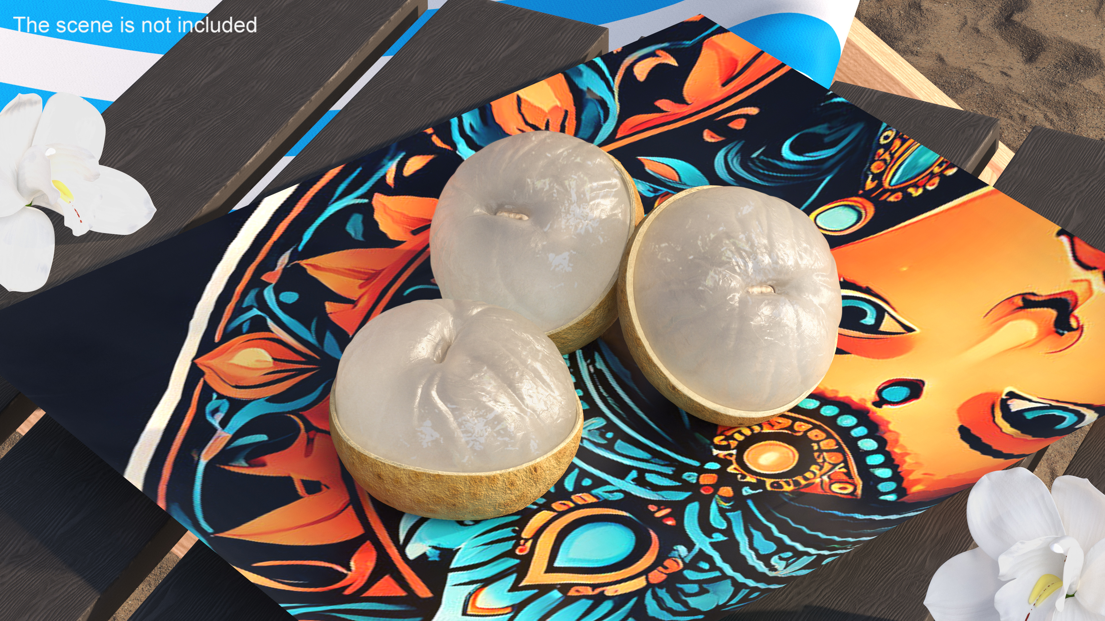 3D model Half a Peeled Longan Peel