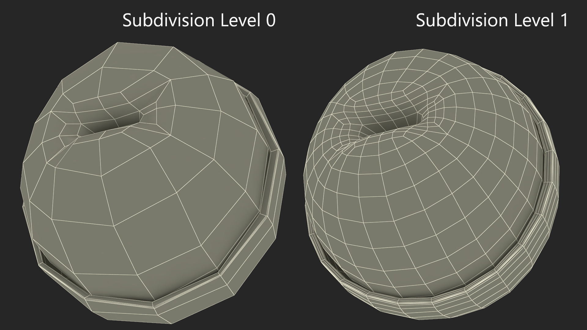 3D model Half a Peeled Longan Peel