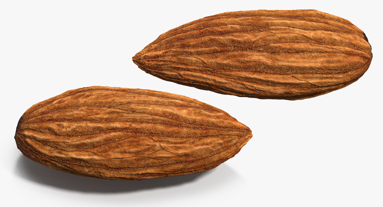 3D model Almond