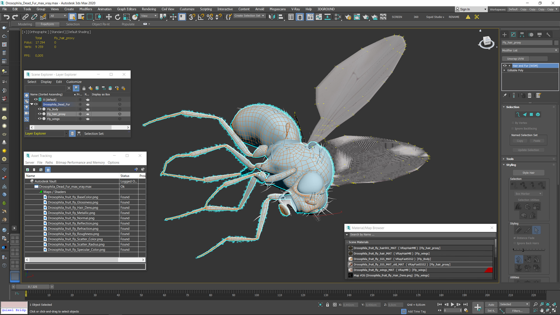 Drosophila Dead Fur 3D model