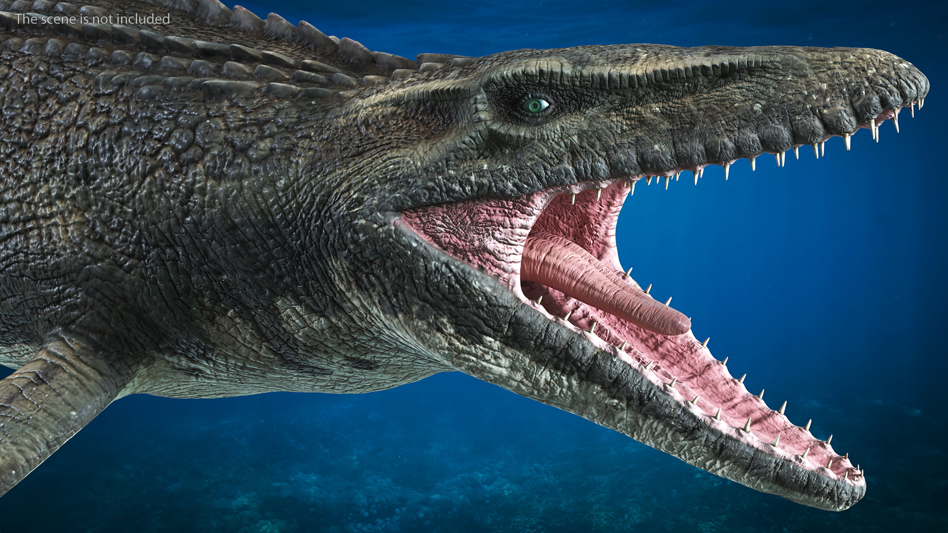 3D Mosasaurus Rigged for Maya