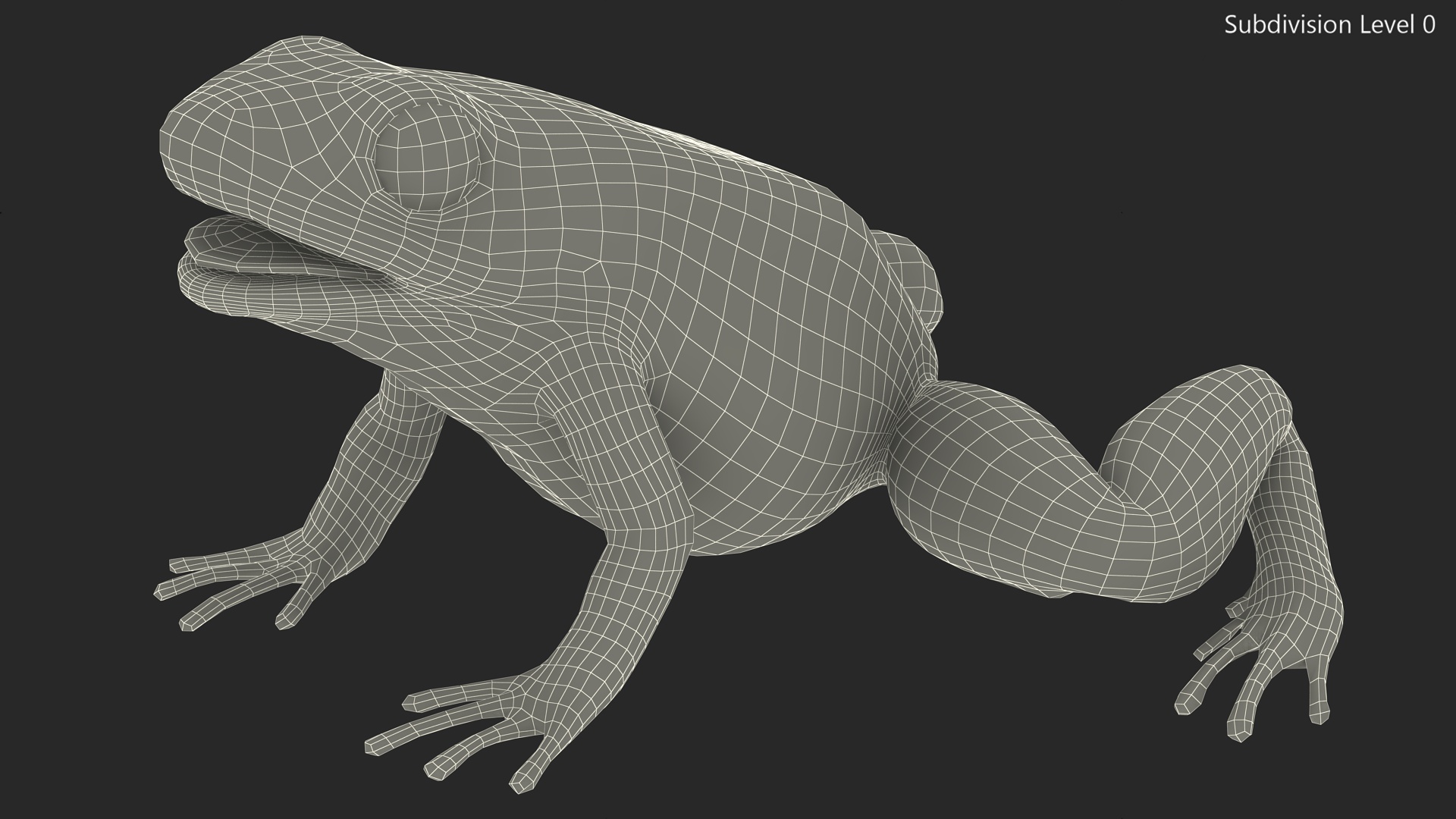 3D Golden Poison Frog model