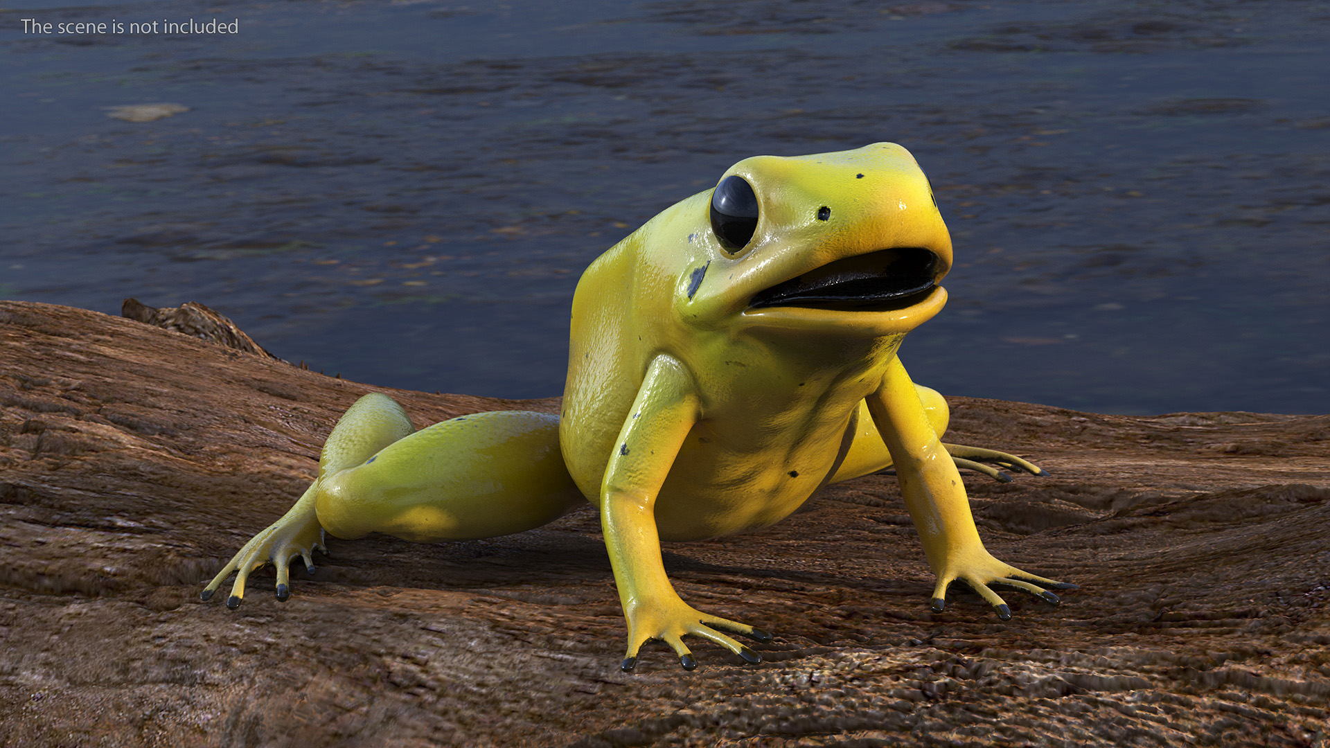 3D Golden Poison Frog model