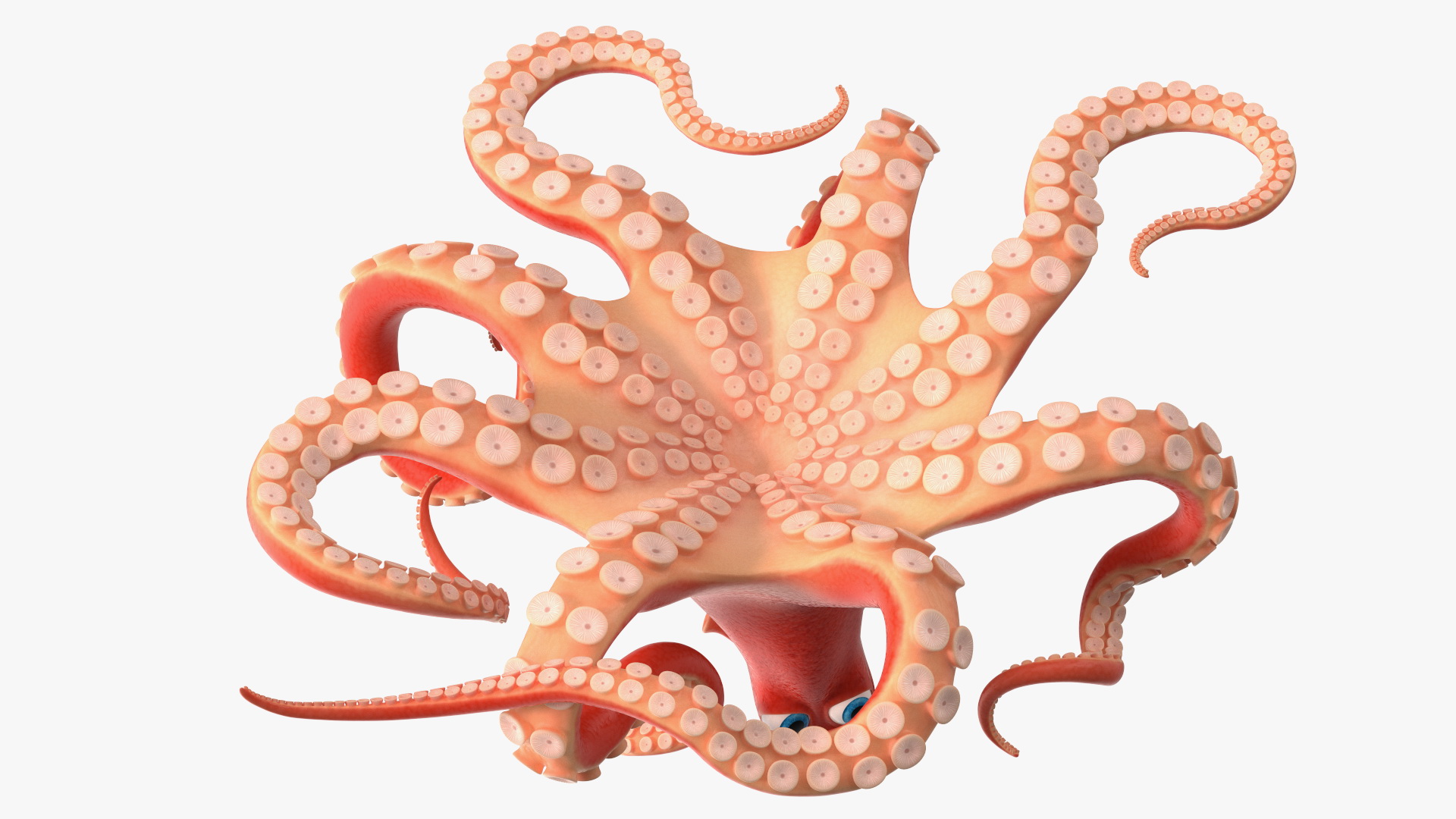 Cartoon Octopus Moving Pose 3D