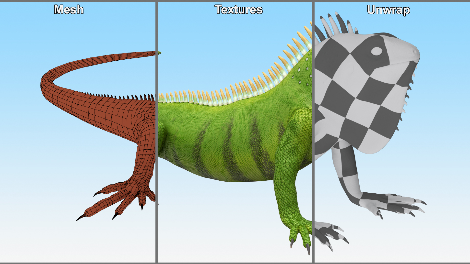 Iguana Reptile 3D model