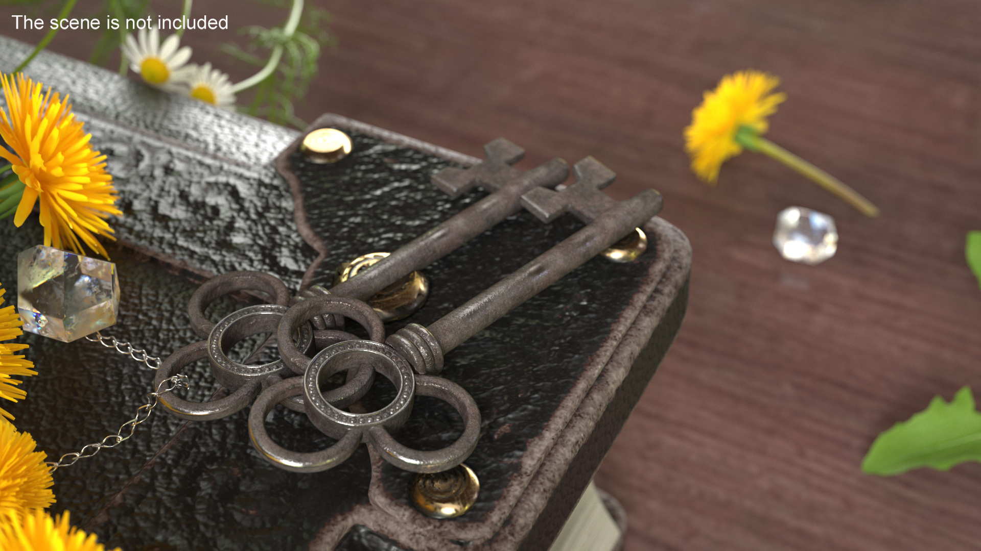 3D model Traditional Skeleton Key Steel