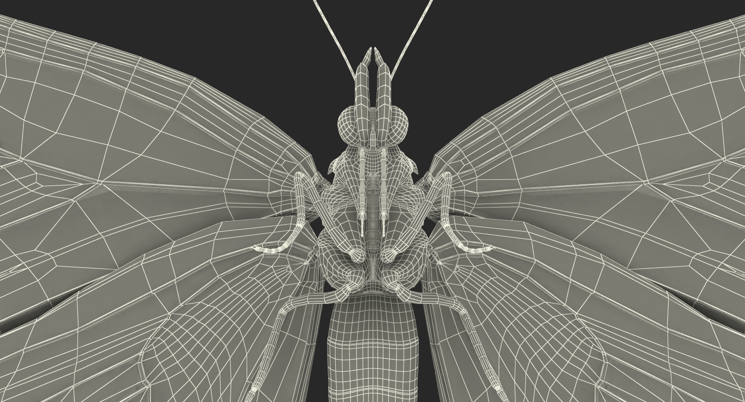 3D model Aglais io Butterfly with Fur Rigged