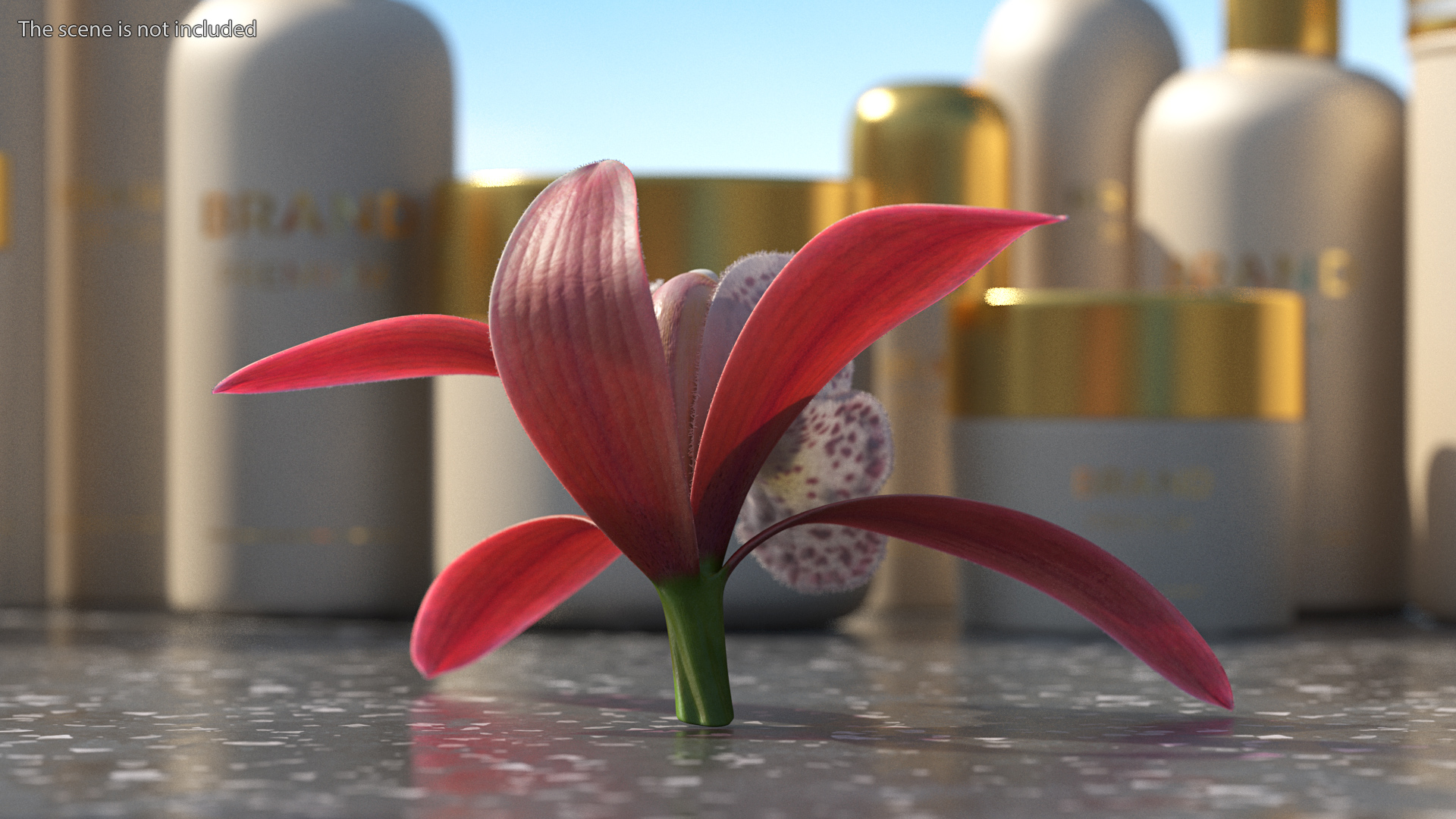 Orchid Flower Pink Fur 3D