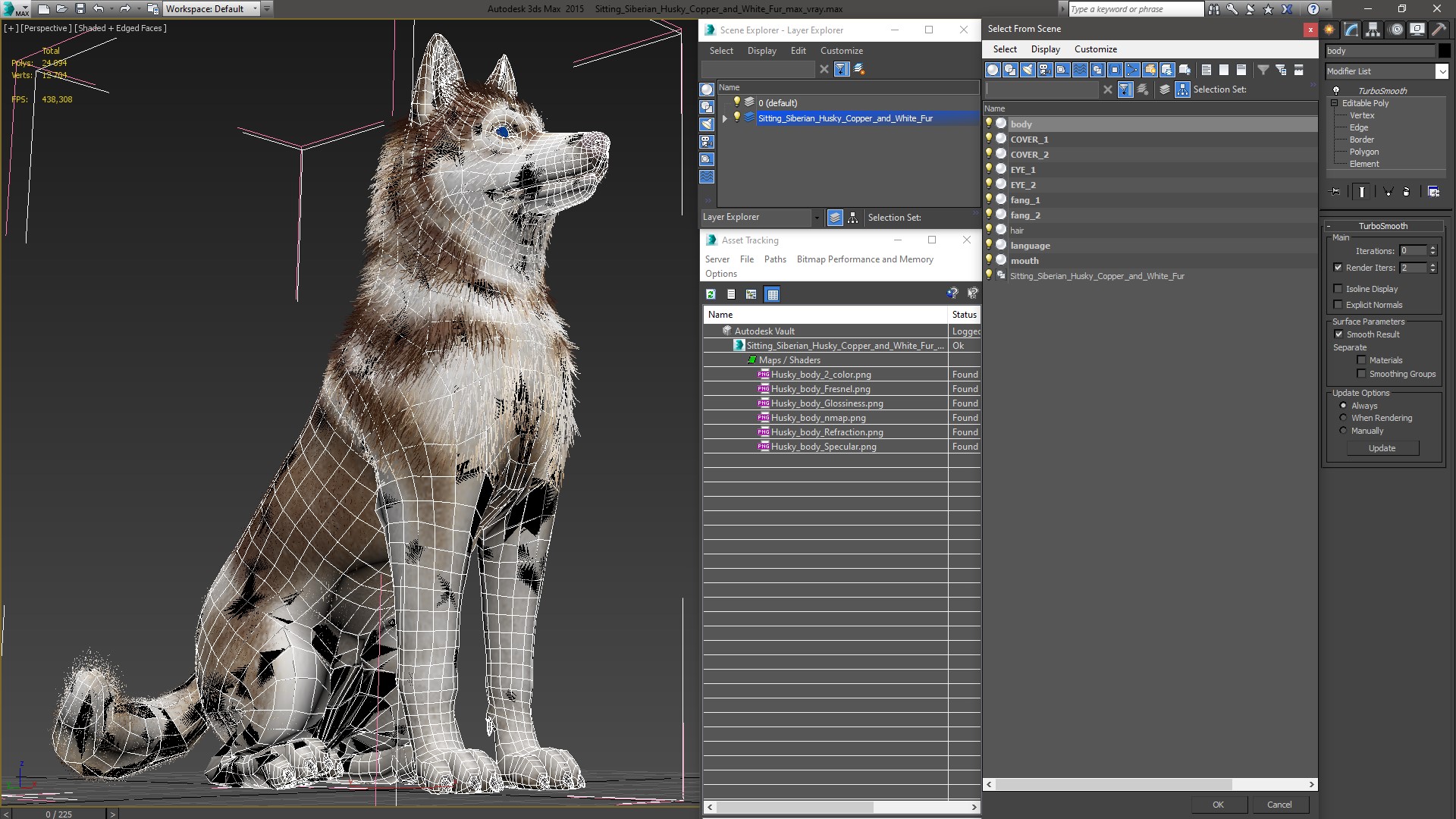 3D Sitting Siberian Husky Copper and White Fur model