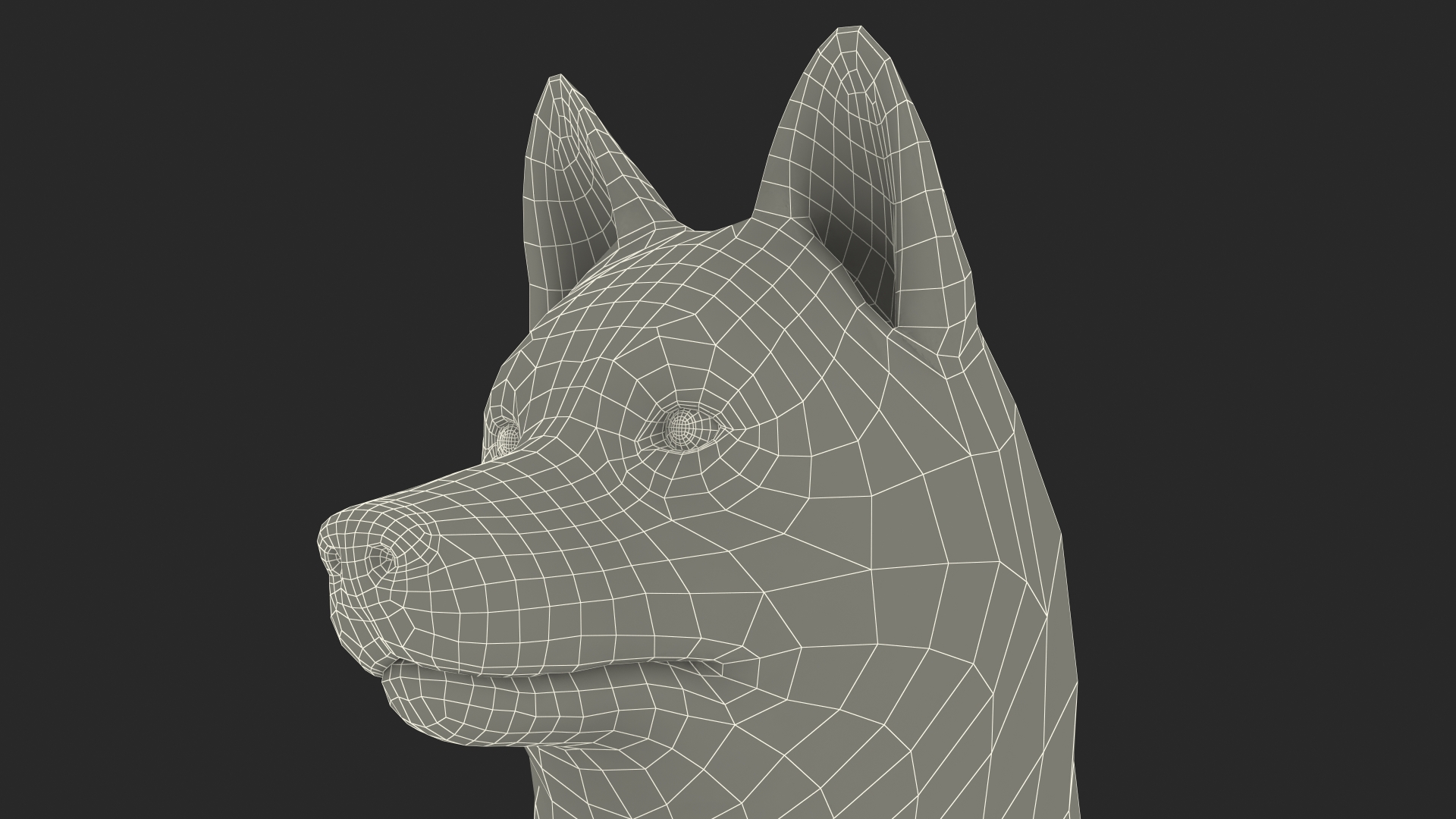 3D Sitting Siberian Husky Copper and White Fur model