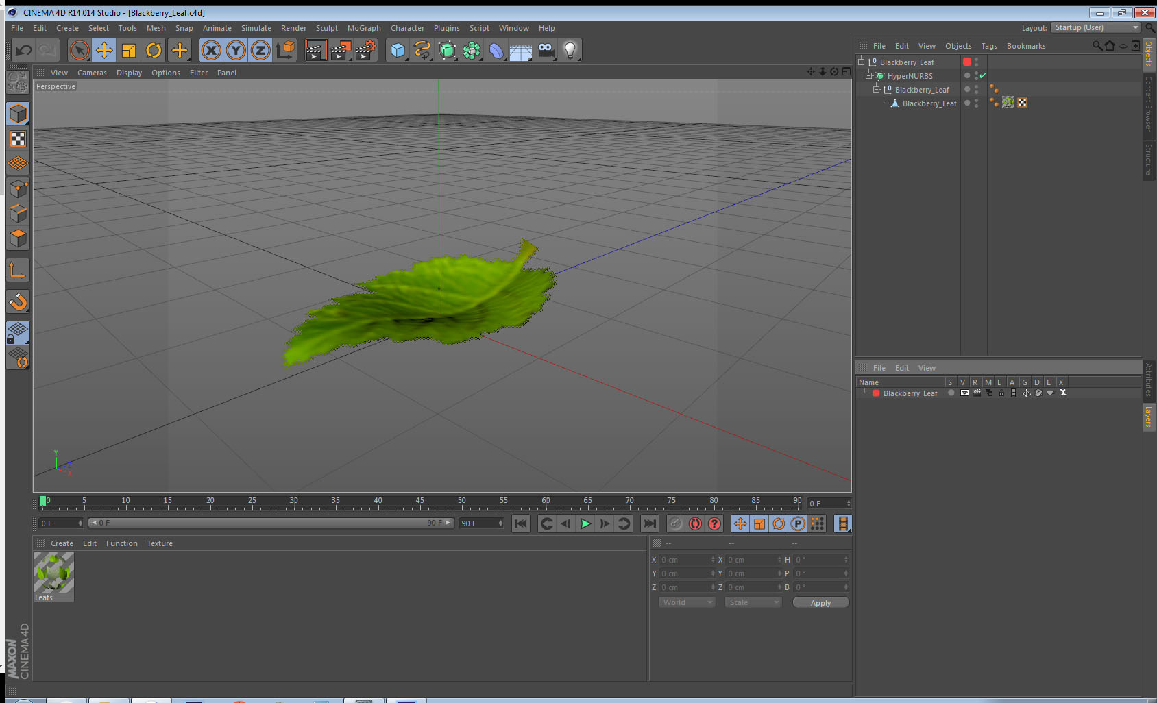 3D model Blackberry Leaf