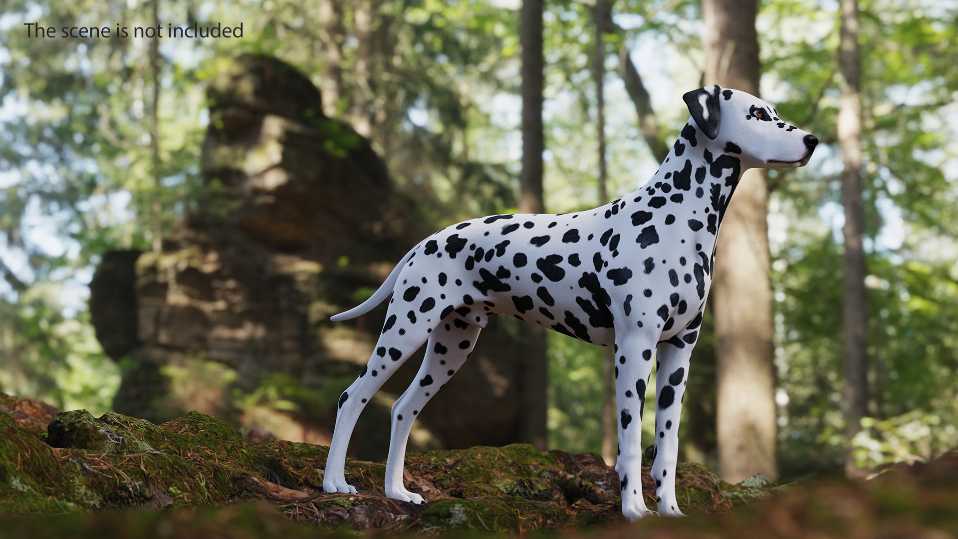 Spotted Dalmatian Dog Rigged for Maya 3D