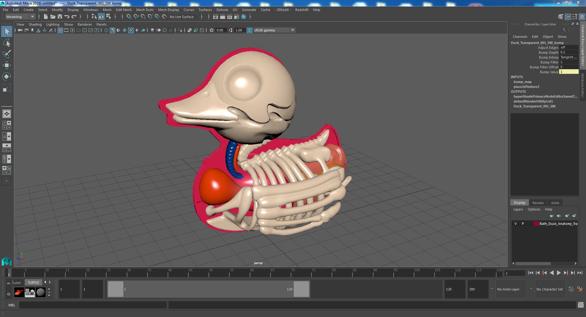 3D model Bath Duck Anatomy Transparent Shell