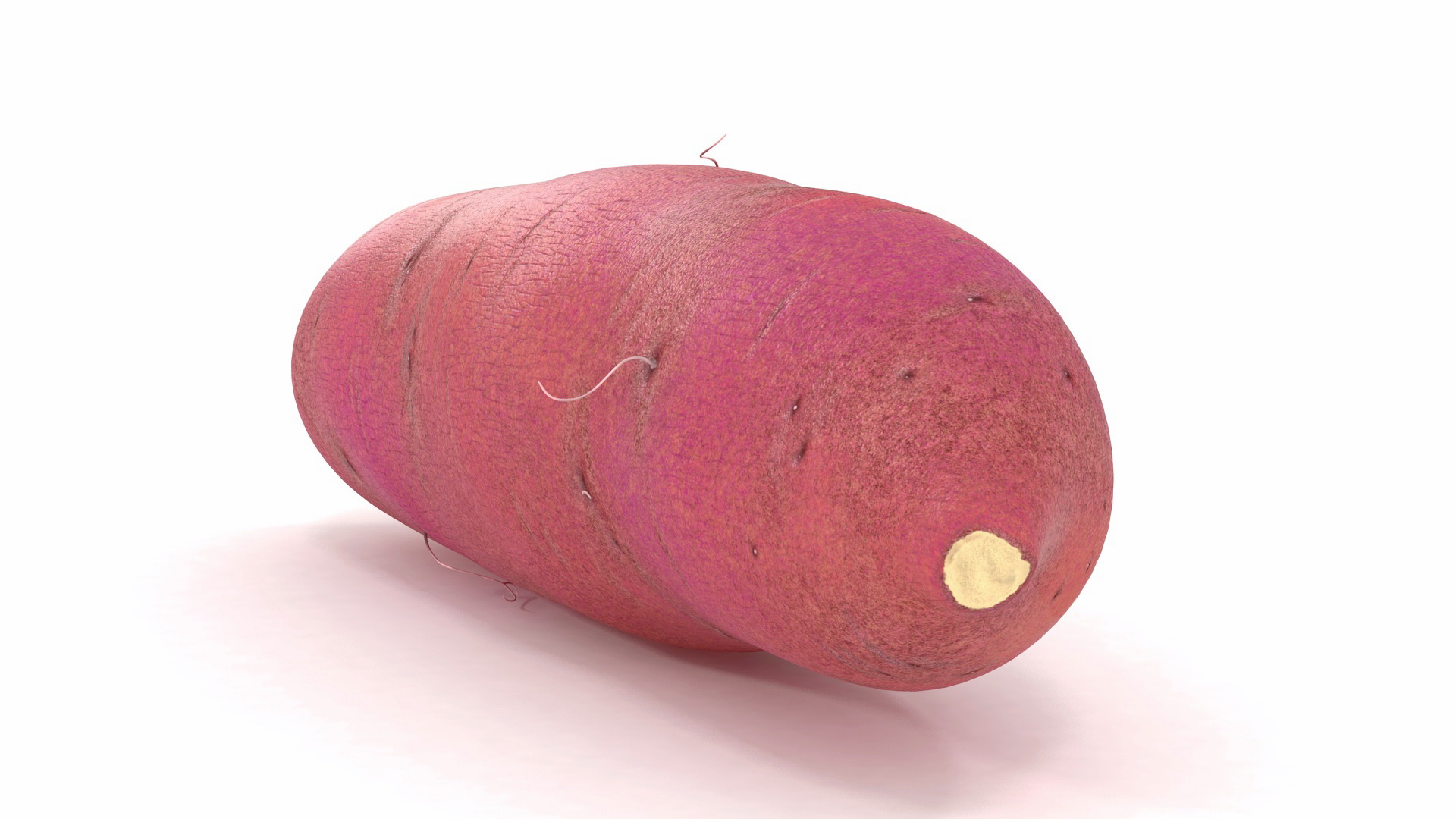 3D Sweet Potato Red