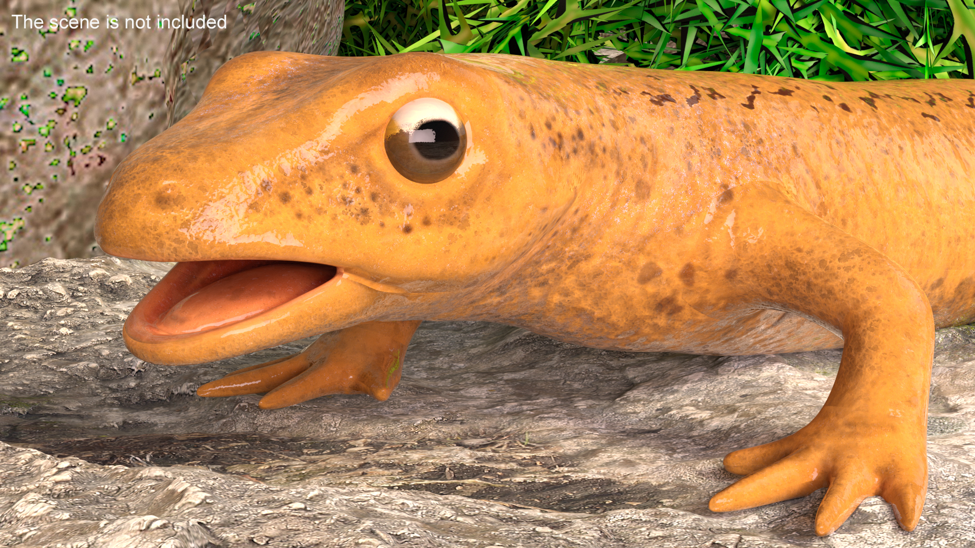 3D model Lissotriton Vulgaris