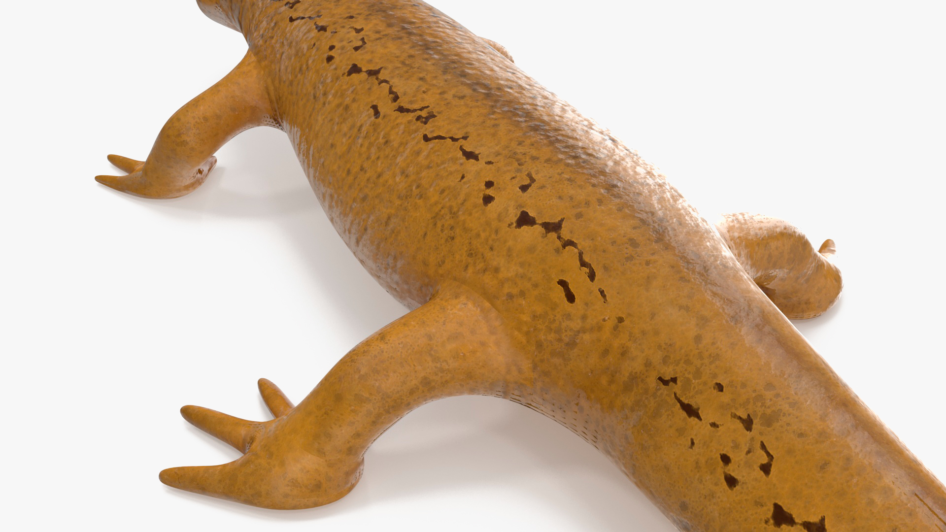 3D model Lissotriton Vulgaris