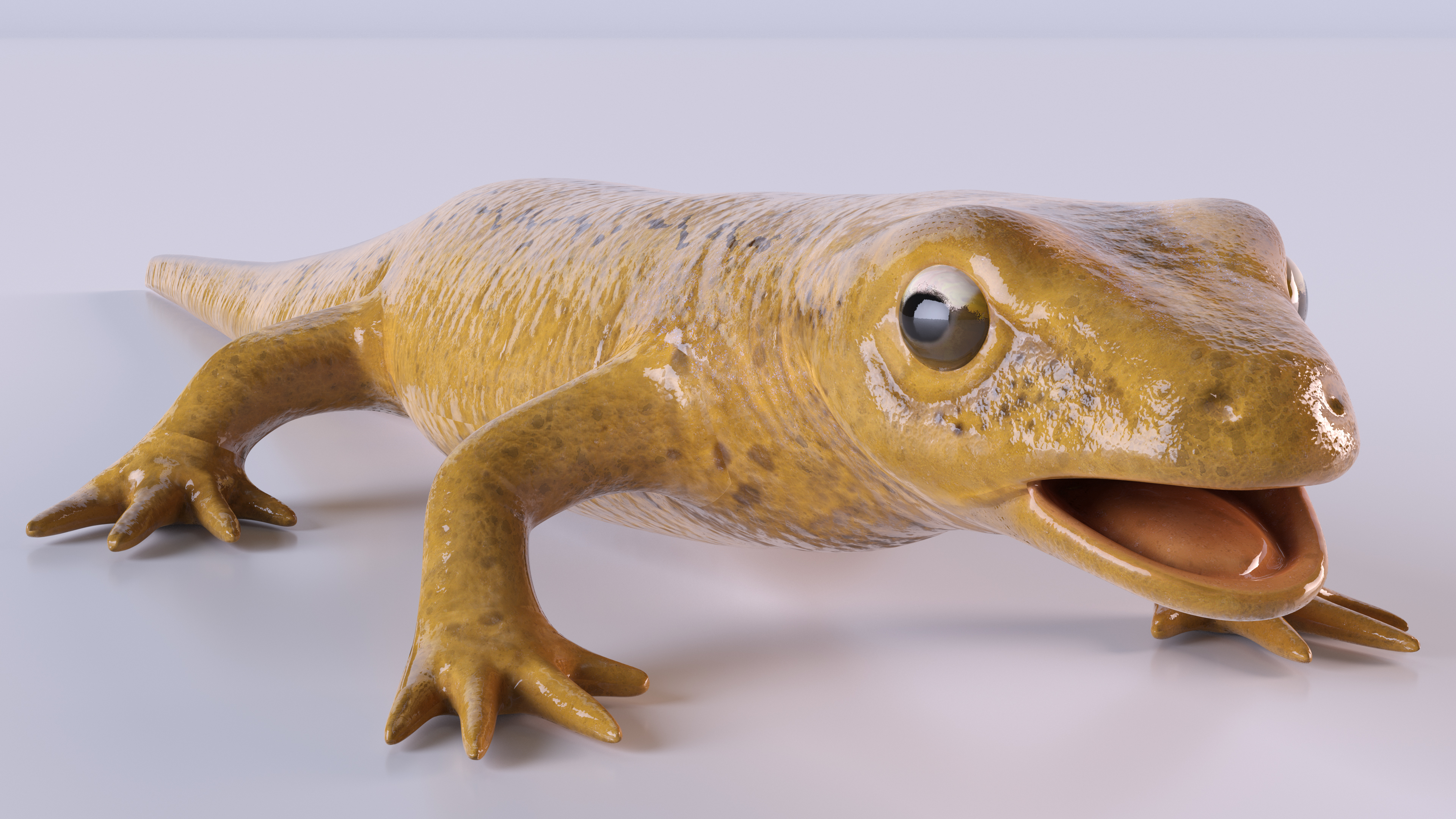 3D model Lissotriton Vulgaris