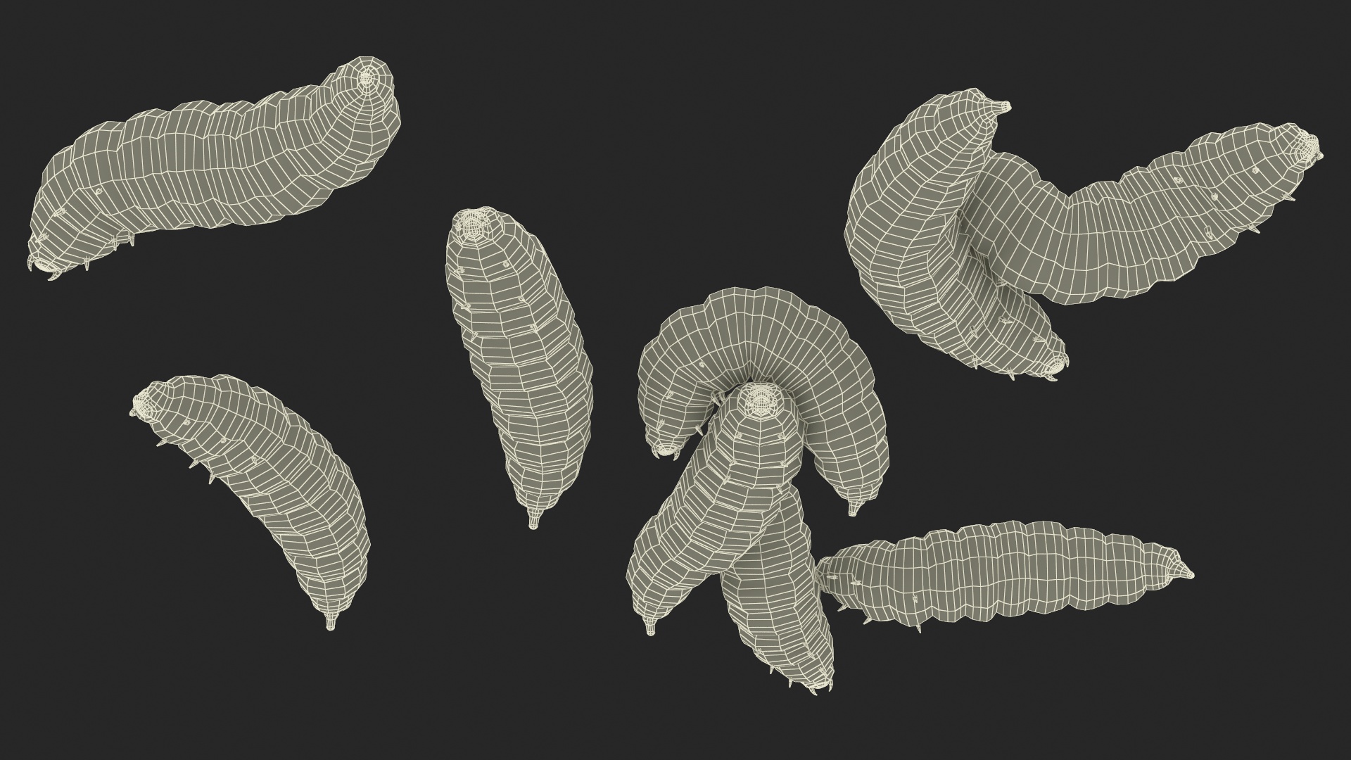 3D Maggot Fly Scene