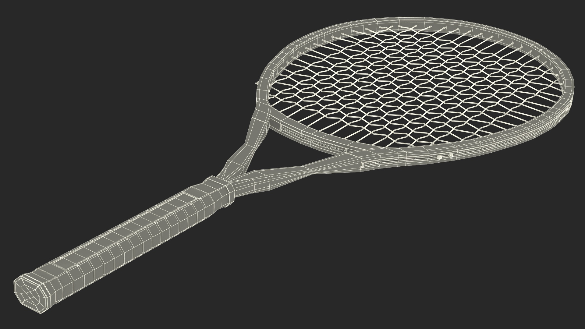 Tennis Racket with Blue Frame 3D model