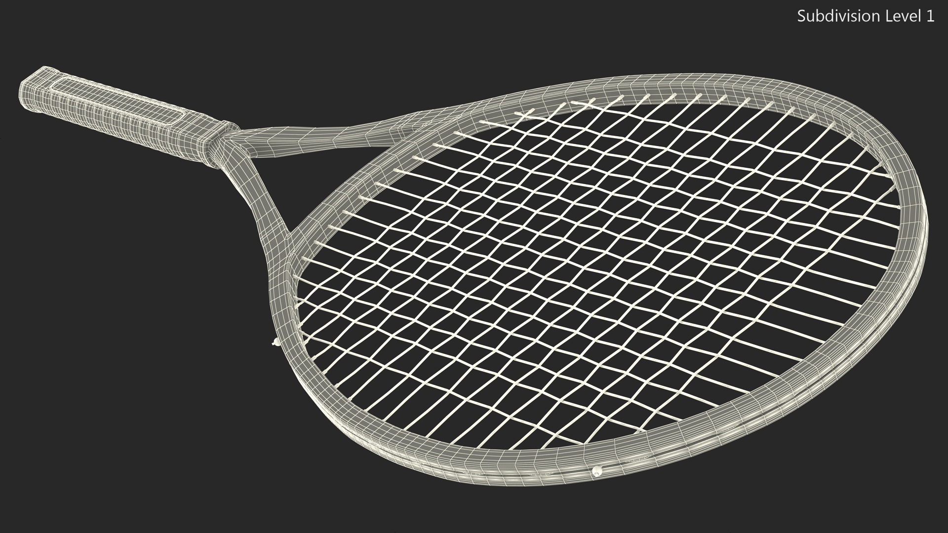 Tennis Racket with Blue Frame 3D model