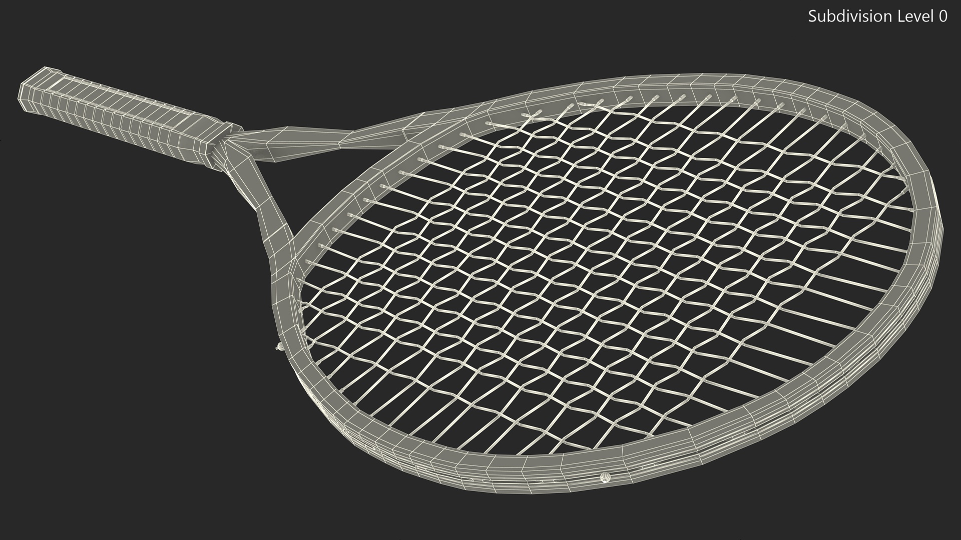 Tennis Racket with Blue Frame 3D model