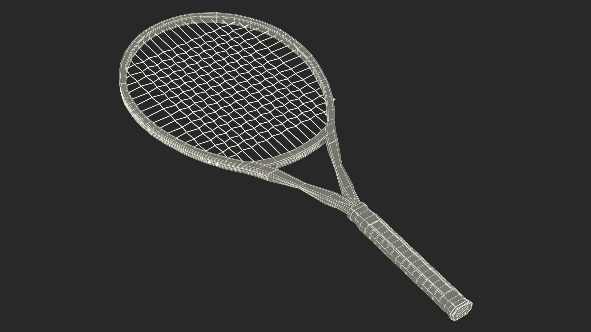 Tennis Racket with Blue Frame 3D model