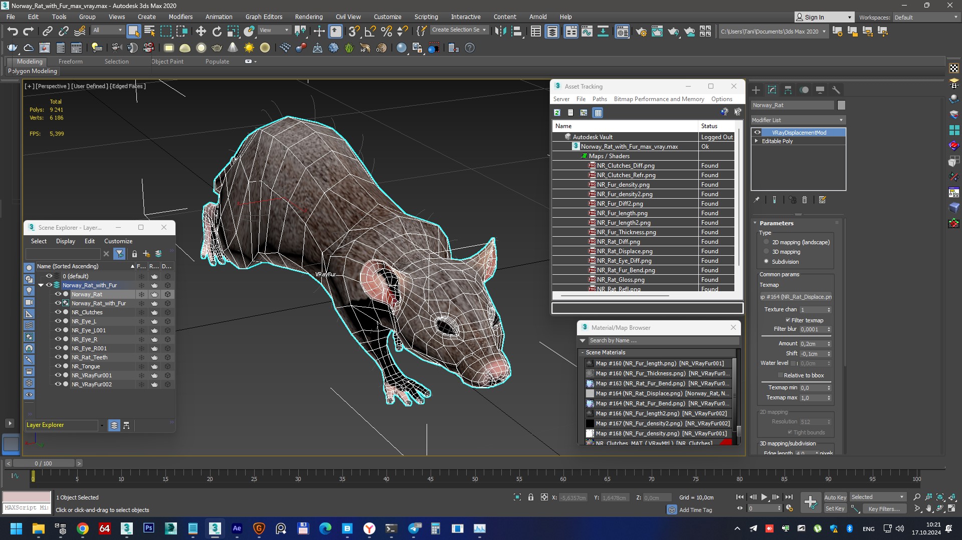 Norway Rat with Fur 3D model