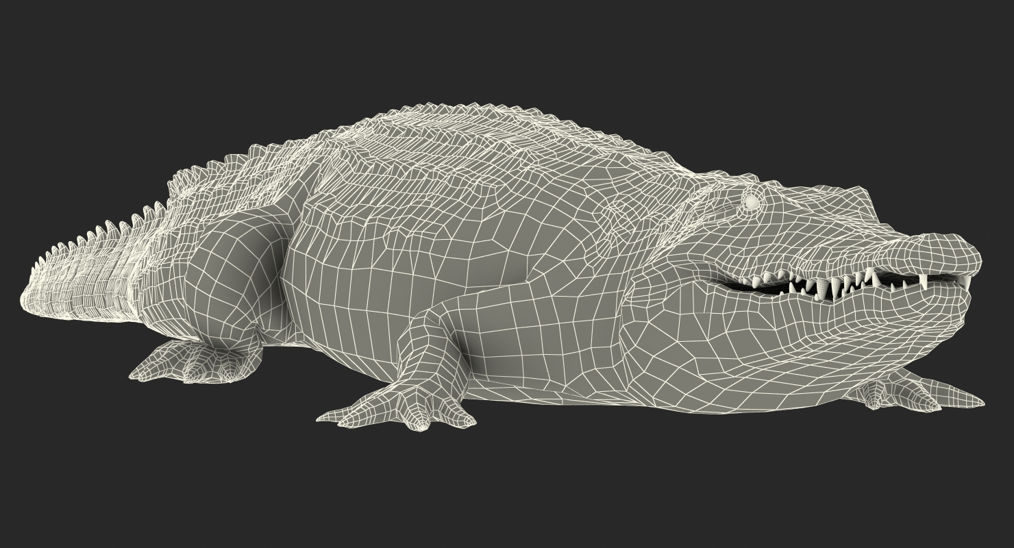 Crocodile Walking 3D