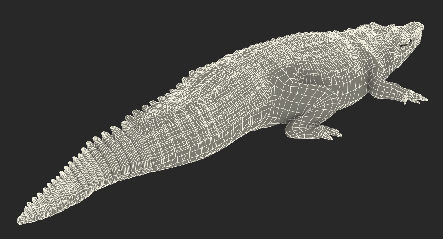 Crocodile Walking 3D