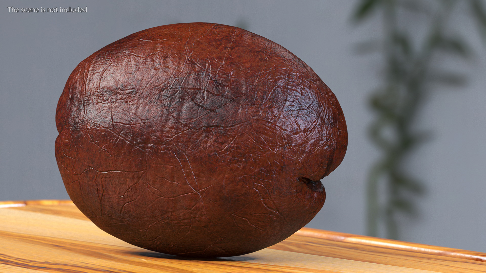 Medium Roast Coffee Bean 3D model