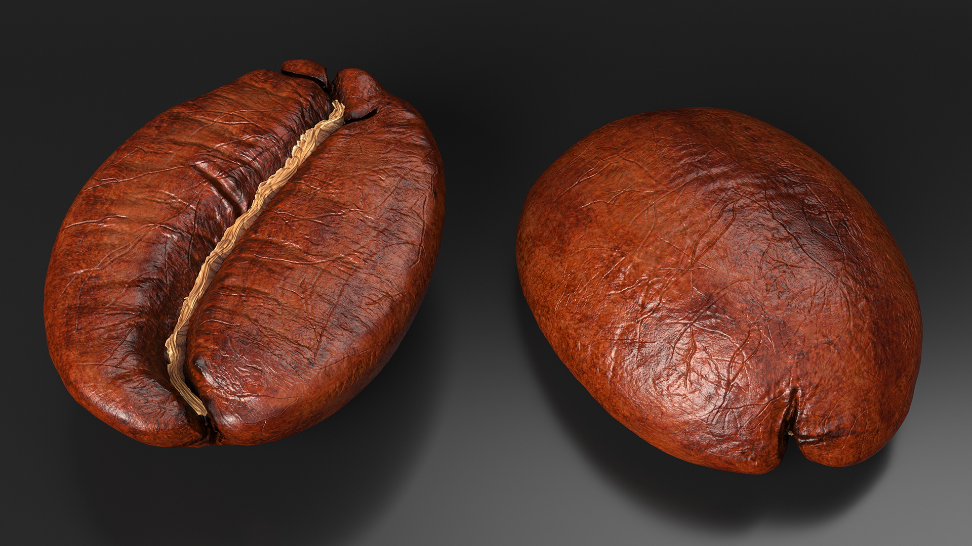 Medium Roast Coffee Bean 3D model