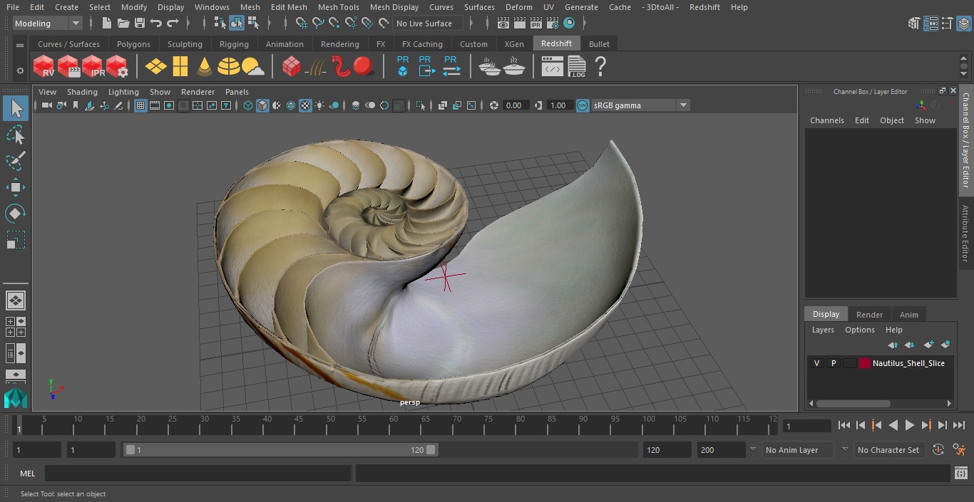 3D model Nautilus Shell Slice